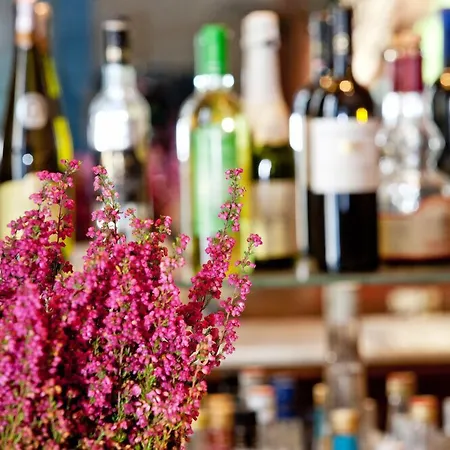 酒店 爱琴海广场酒店 Kamári