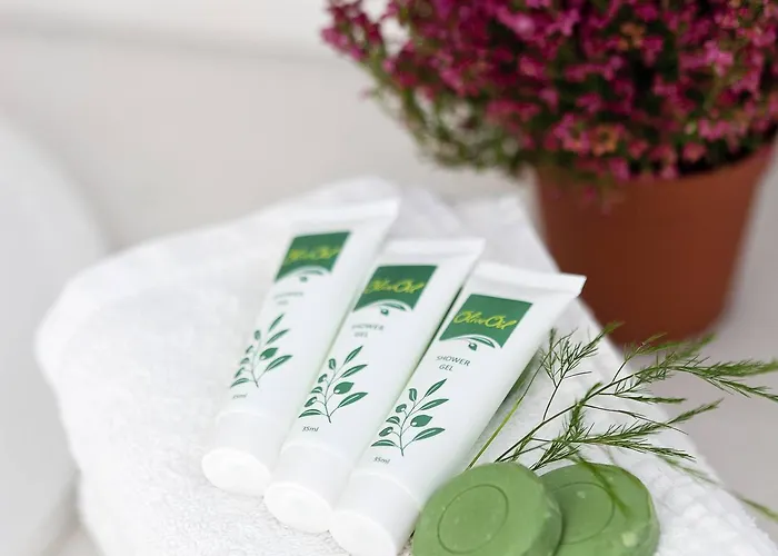 Отель Aegean Plaza